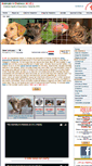 Mobile Screenshot of animals-in-distress.eu